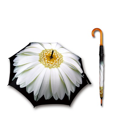 FLOWER D1000 DAISY