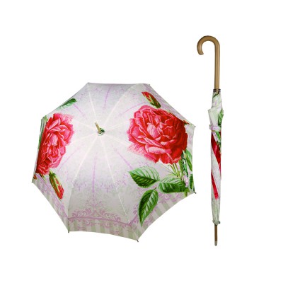 FLOWER D1000。CENTIFOLIA ROSE