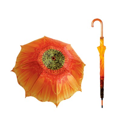 FLOWER D1000  GOLD DAISY