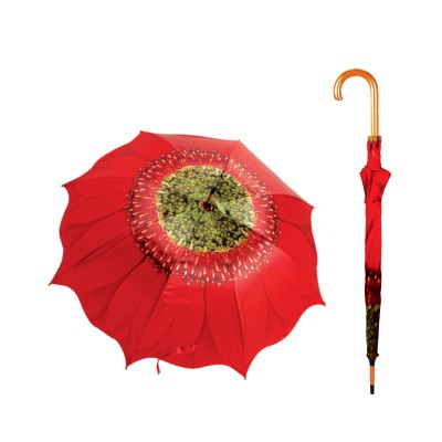 FLOWER D1000  RED  DAISY