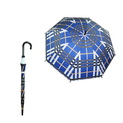 00124 . POE  LATTICE   METAL STICK  PLASTIC HANDLE