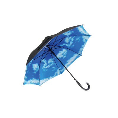 124 D23   DOUBLE LAYER METAL  FRAME  WITH CLOUD DESIGN
