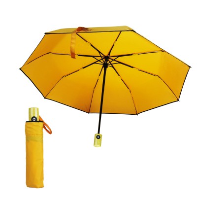 821.381A  AUTO OPEN  AND CLOSE 21"  